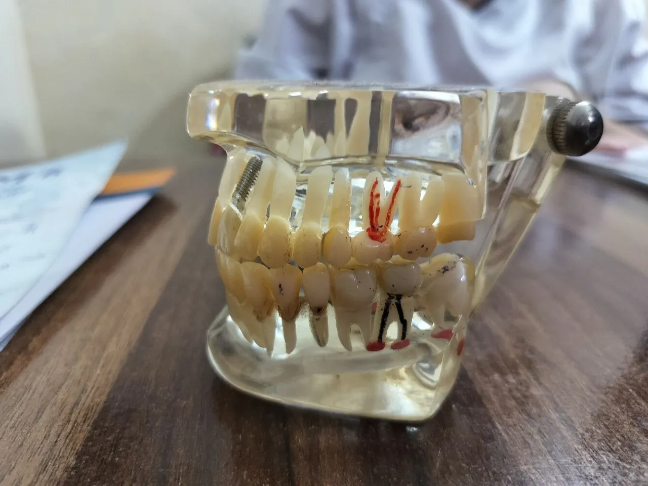 Dental Educational Tools