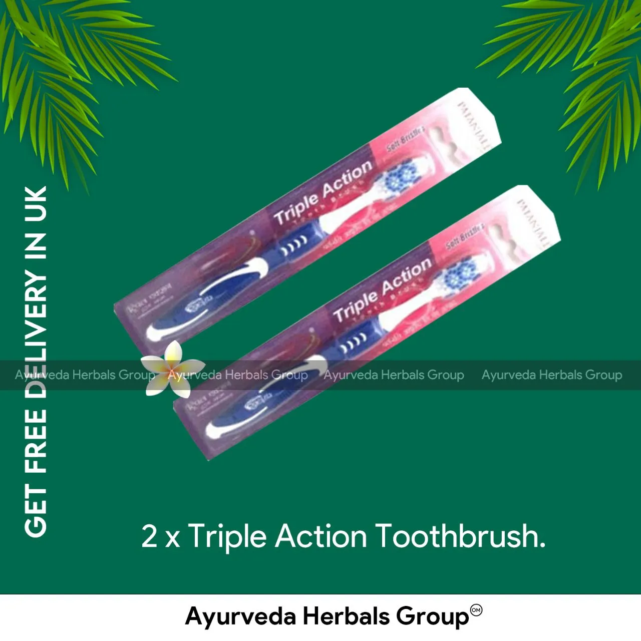 Oral Care