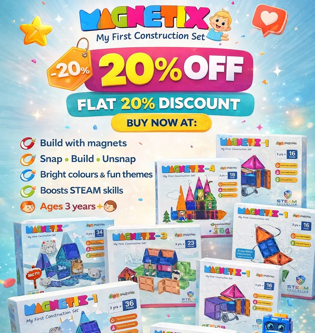 Megnetix bricks 